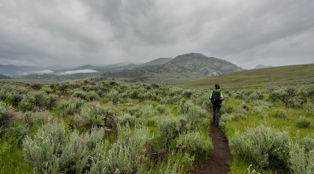 How to Choose the Best Satellite Phone for Hiking